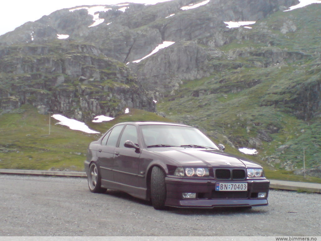 bachx99m86hgub5lg6h9.jpg