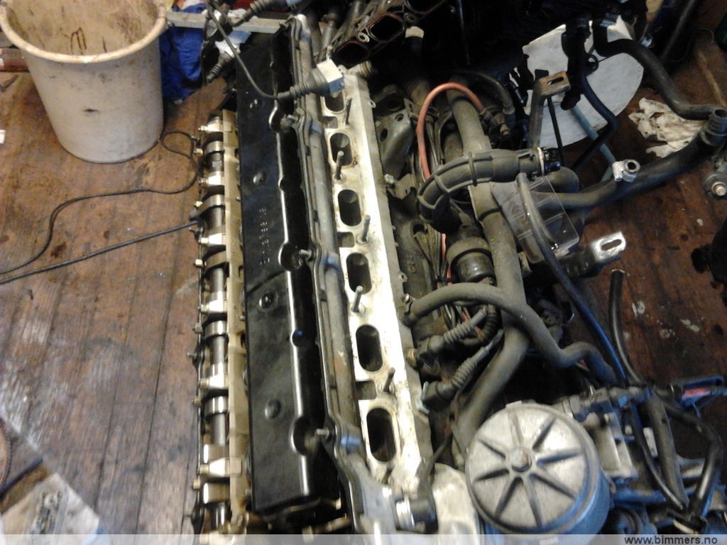 bafzk50l4q9qx8lqpsrh.jpg