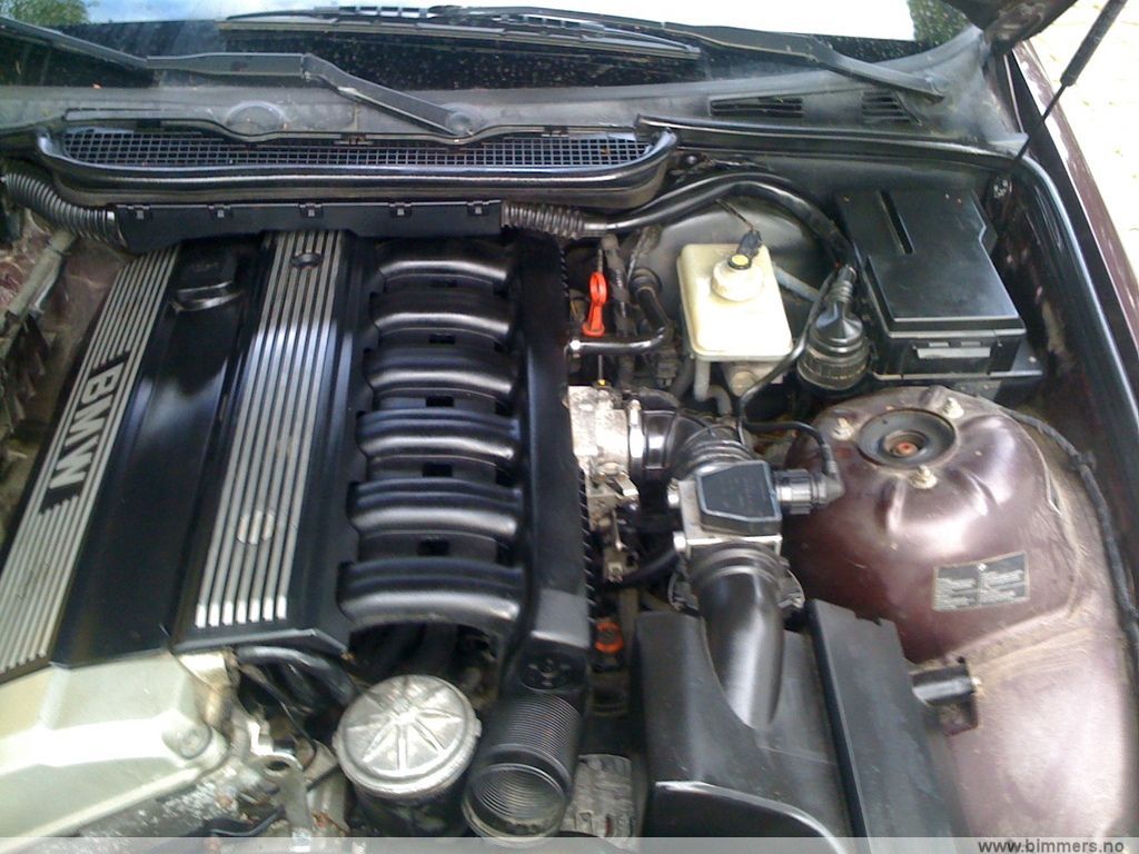 bd5wgwzzeyob10896n47.jpg