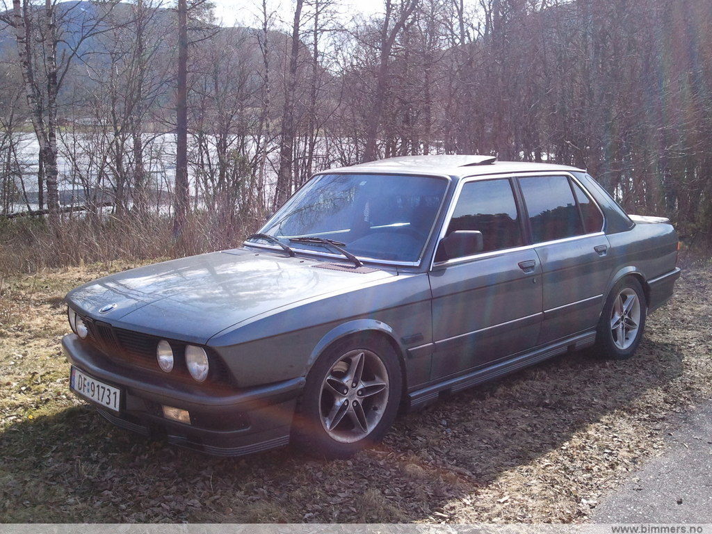 bf2lmk2orwf897zu955e.jpg