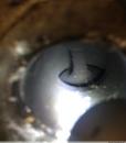 bkkirfmzohbx1cphfe72_thumb.jpg