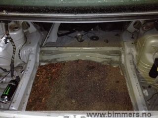 bkm0qg72xst8edr63azo.jpg