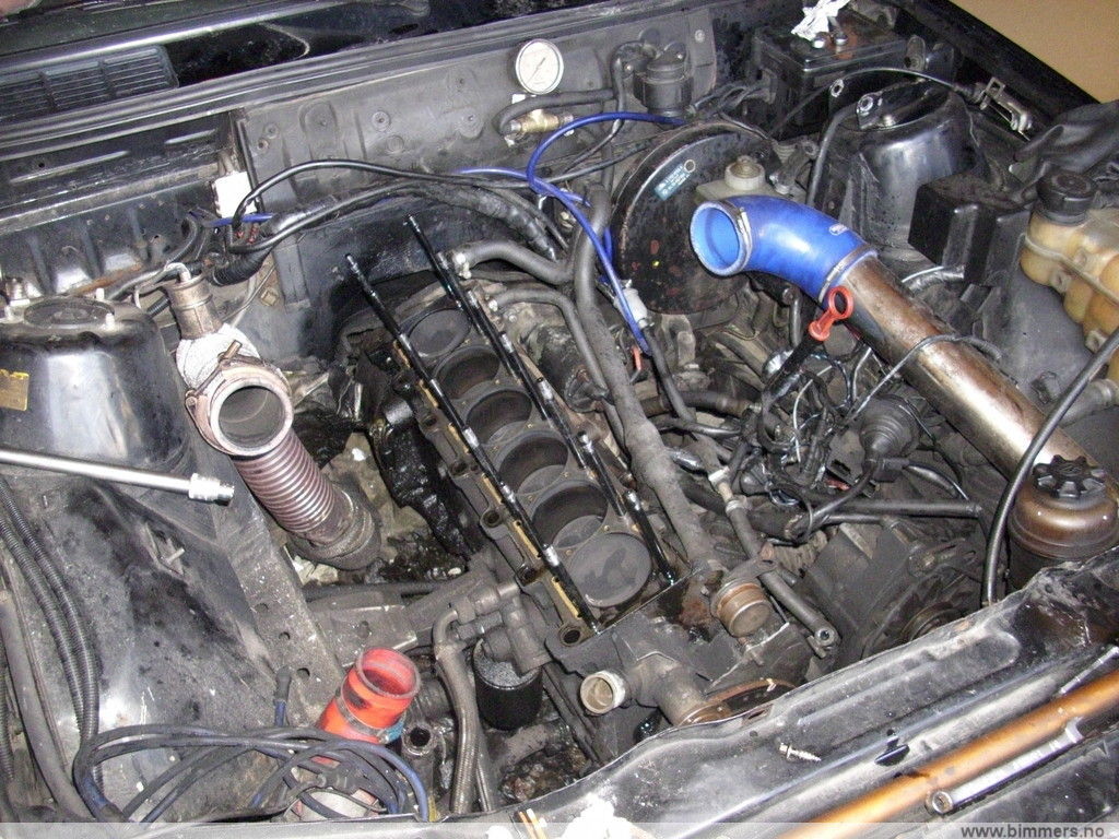 bno289hmbgb5dvokg7l9.jpg