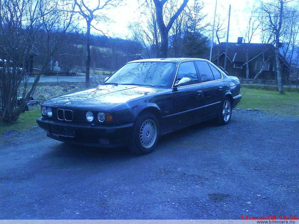 bpkylqg309cc3gds96pe.jpg