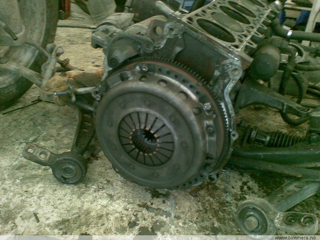 c1obs8yv1irsc7d2jzqe.jpg