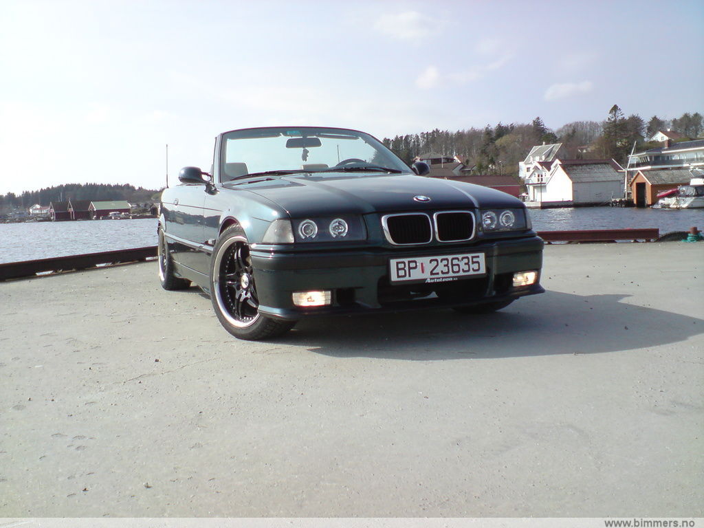 c1pwm62r8vf9yrtlly3o.jpg