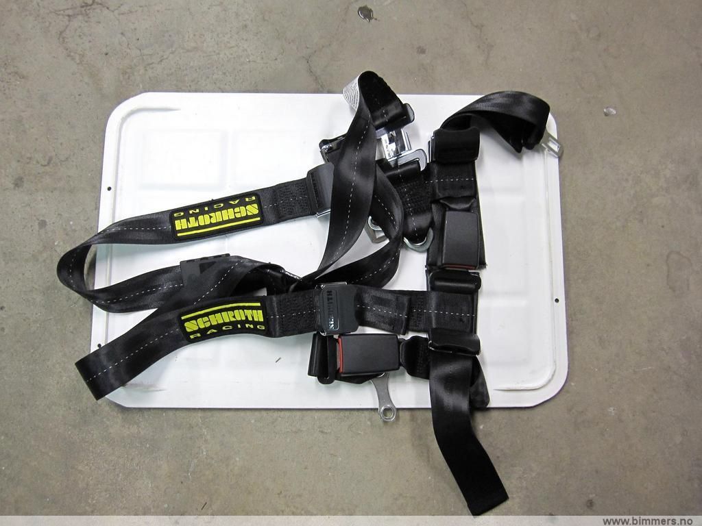 citvf2o399os2ixmfr3l.jpg