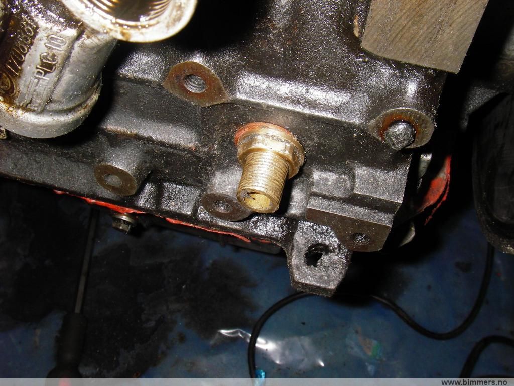 cj89954qx5io7xf2dzgt.jpg