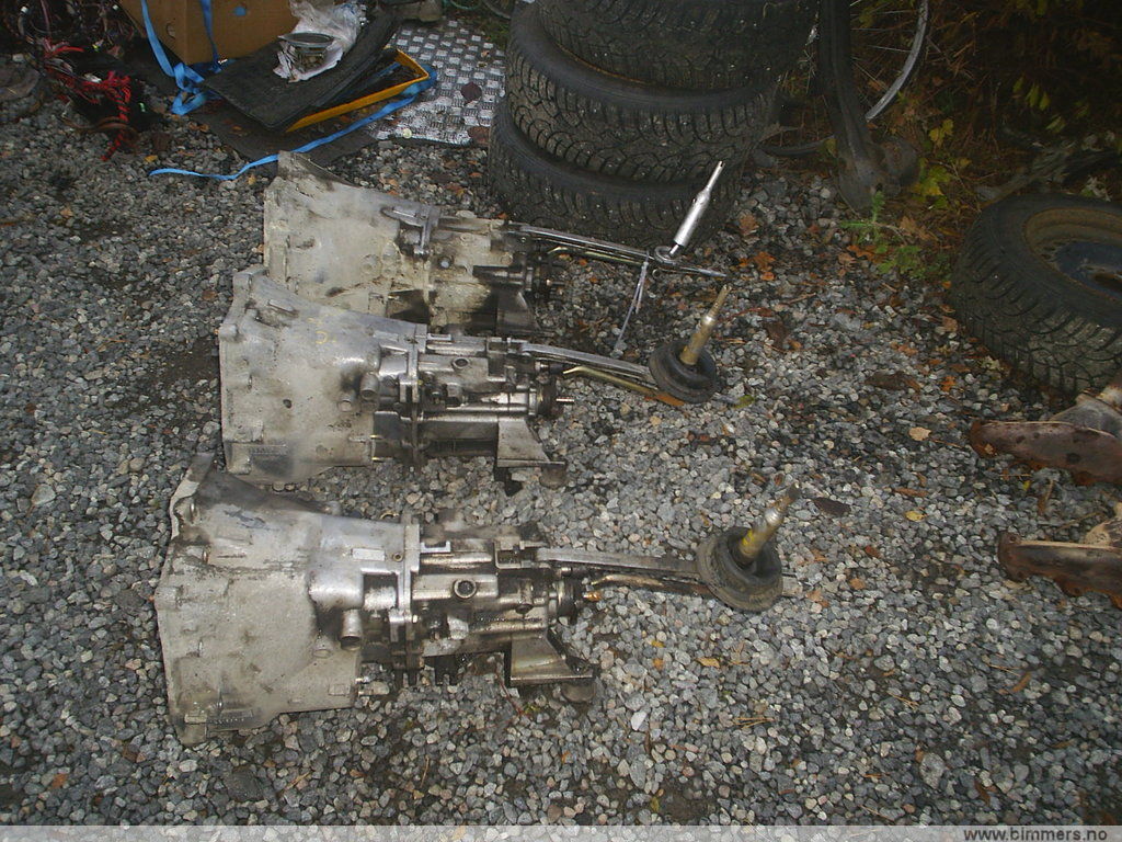 ctojku2p8i3d03rfmlvk.jpg