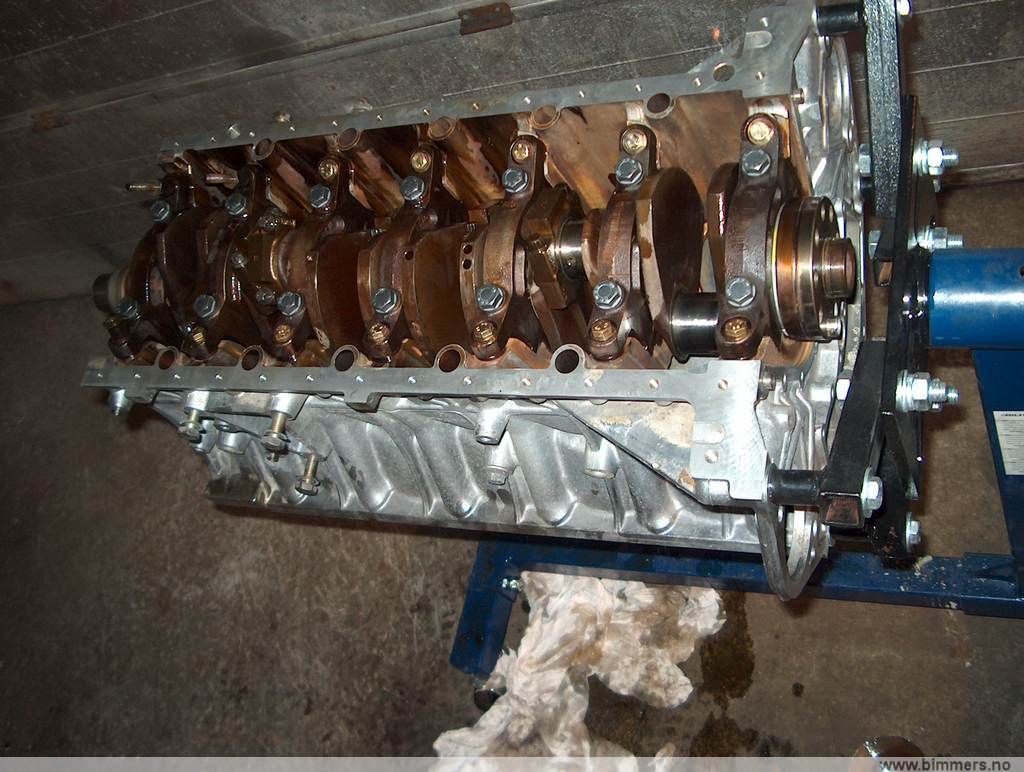 cxx4uf6o6i2lyi9dddc3.jpg