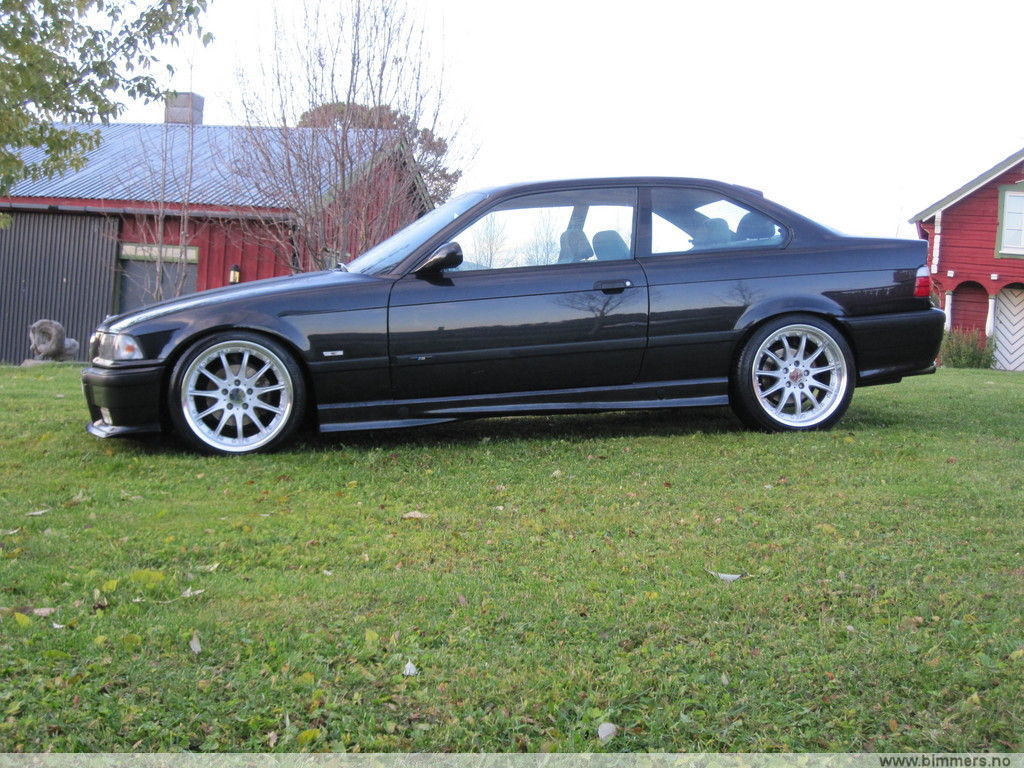 d1hf7okwqxy2r493kfsv.jpg