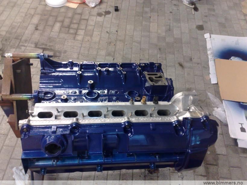 d95zet2zs3q3cv0kub8k.jpg