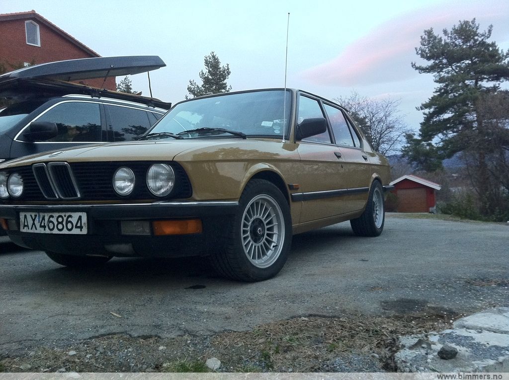 db55q5y7kdzmr6vegp0e.jpg