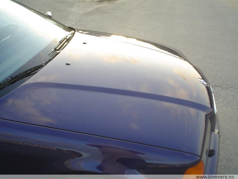 dkf1vpp7p95mp6nrsolf.jpg