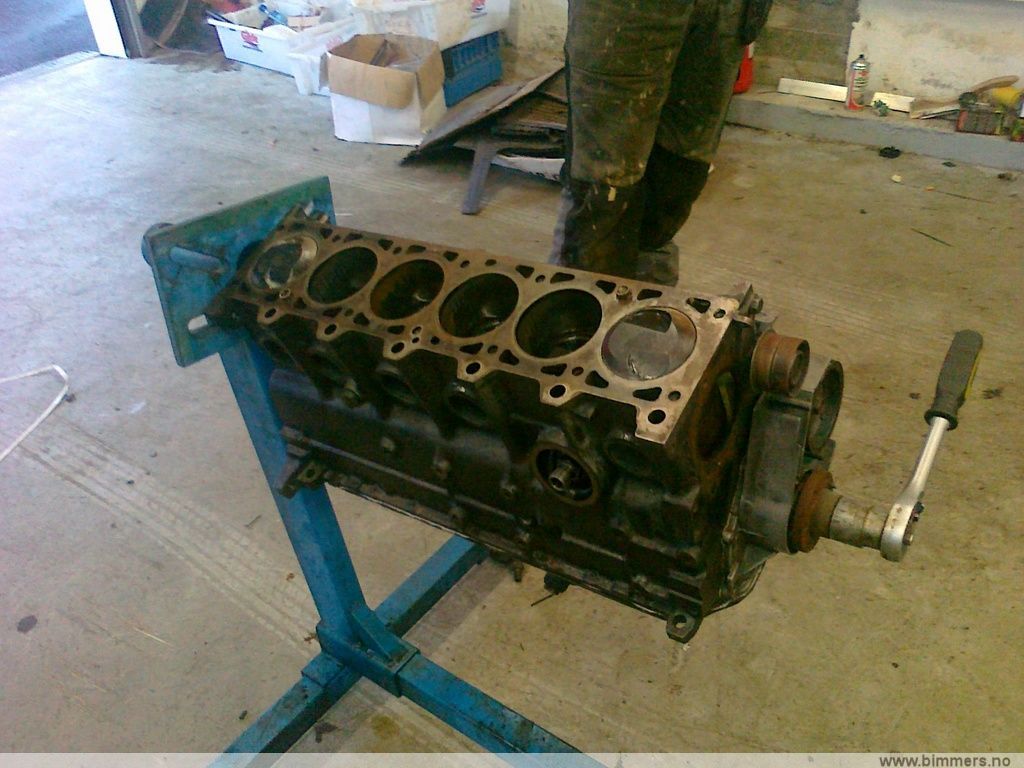 dl5v652aldqlh3niwbhx.jpg