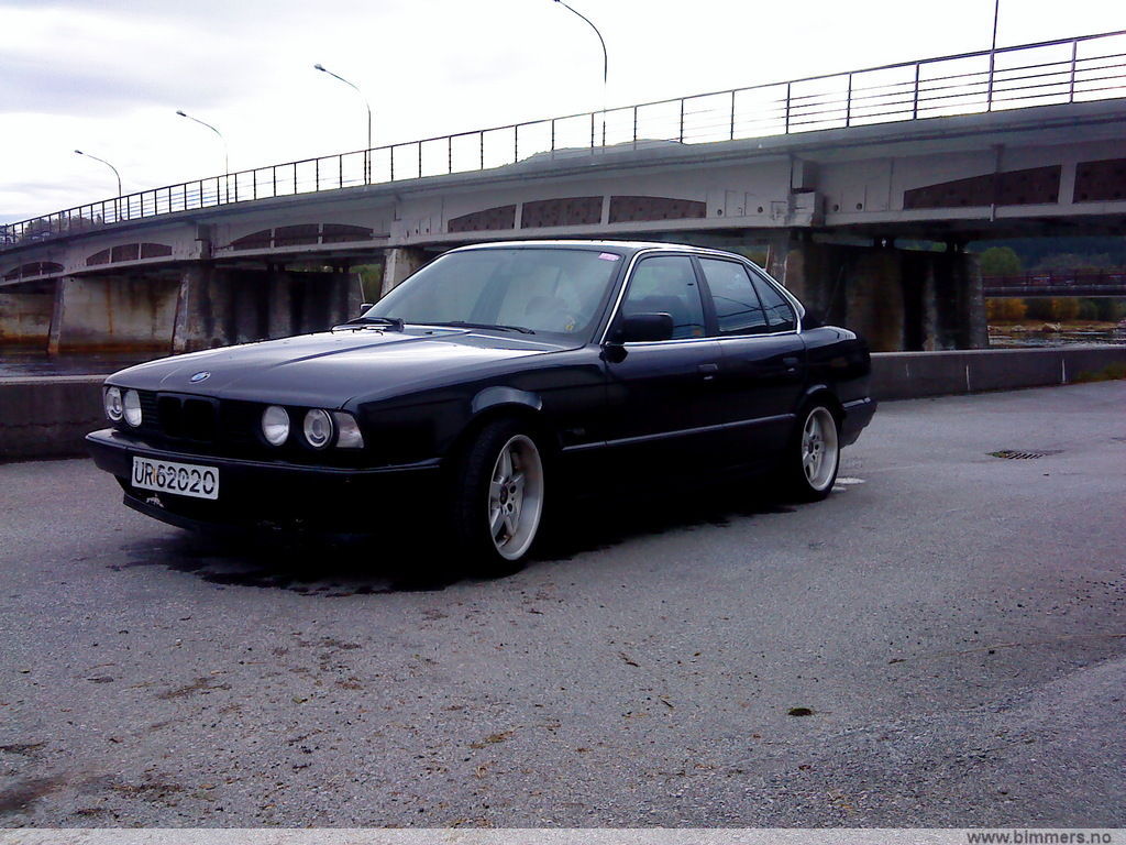 emxmdk28sqv78srypdfl.jpg