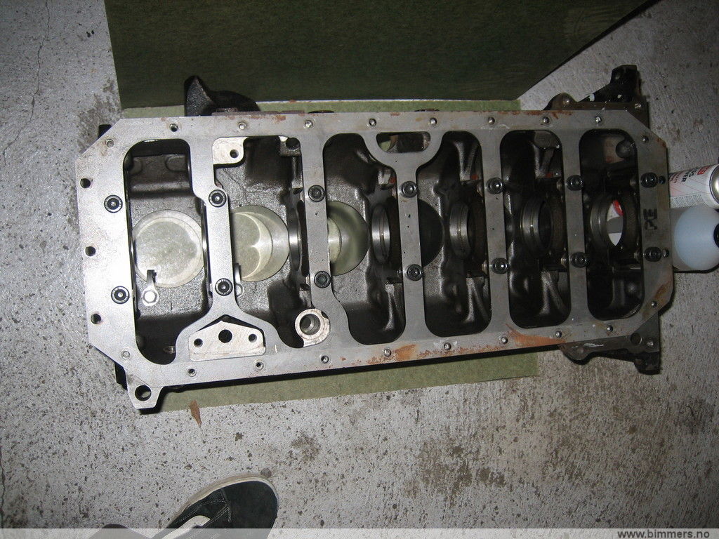 f1kcz1t9dmh5iirmqycc.jpg