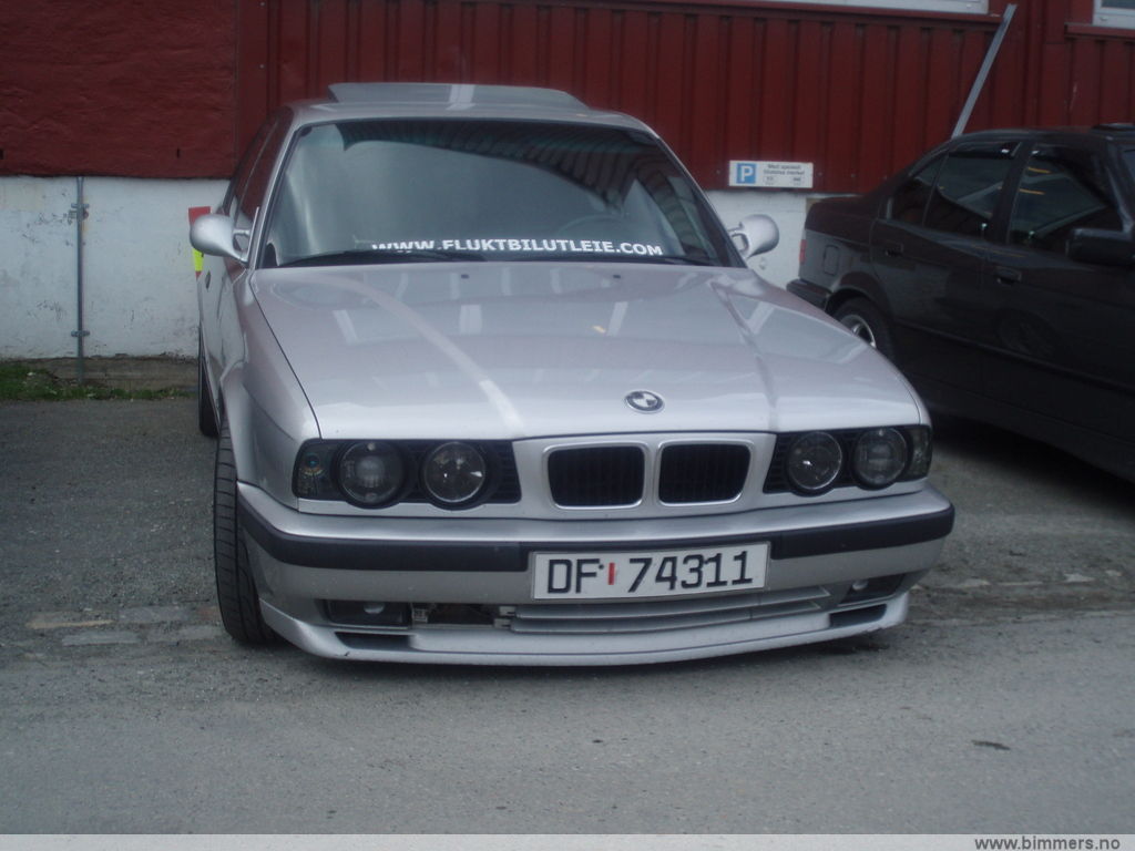 f63mqr60zol23wcjir8e.jpg