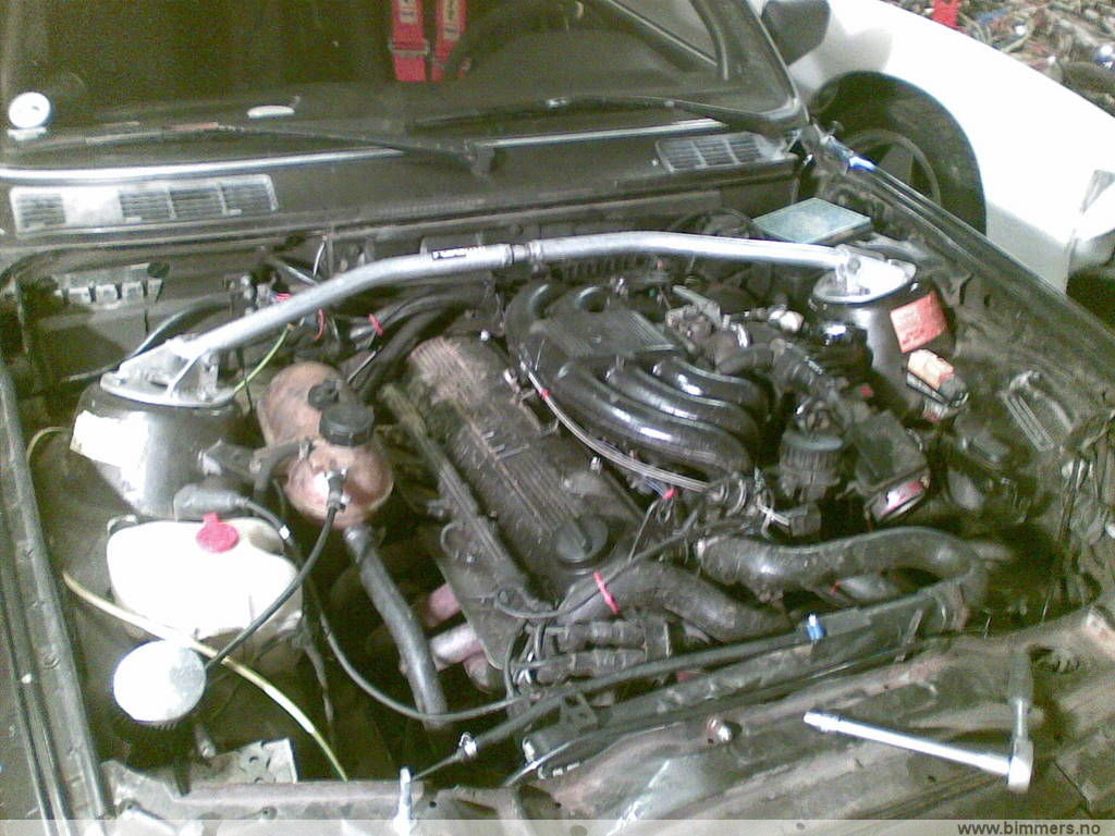 fbyobulrblmmmn6lce06.jpg