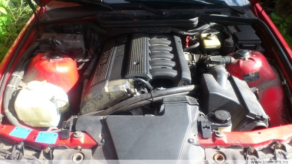 fd58f2b5v6vuxkcs8udv.jpg