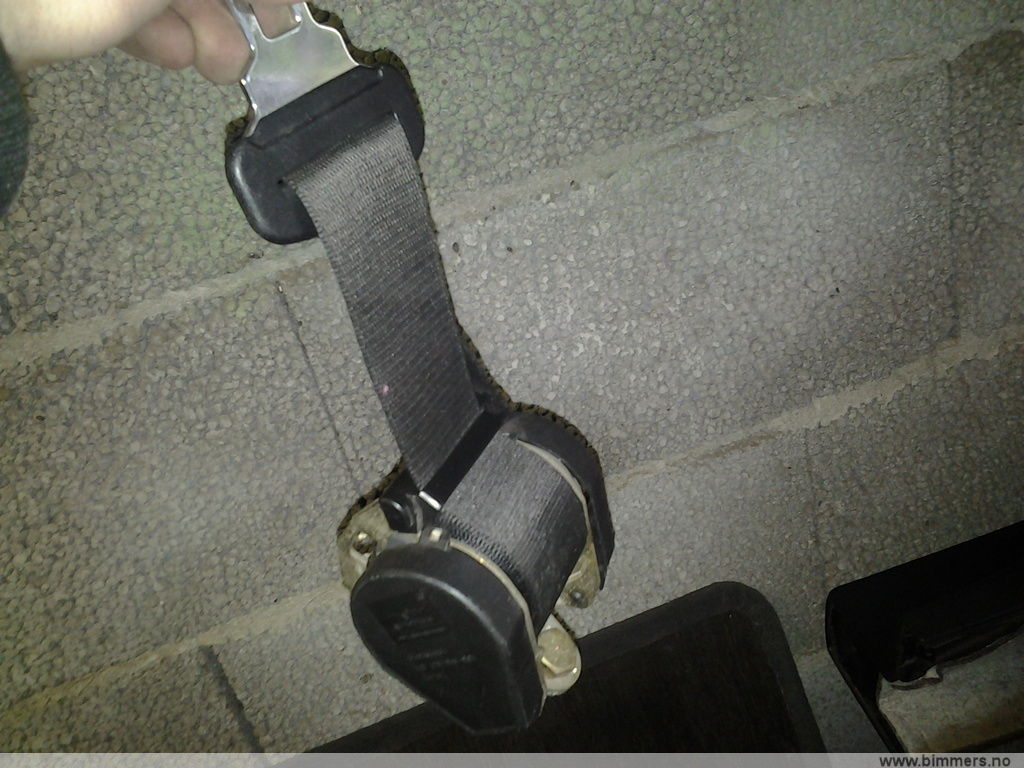 fekba3983rexuwv8oi3n.jpg