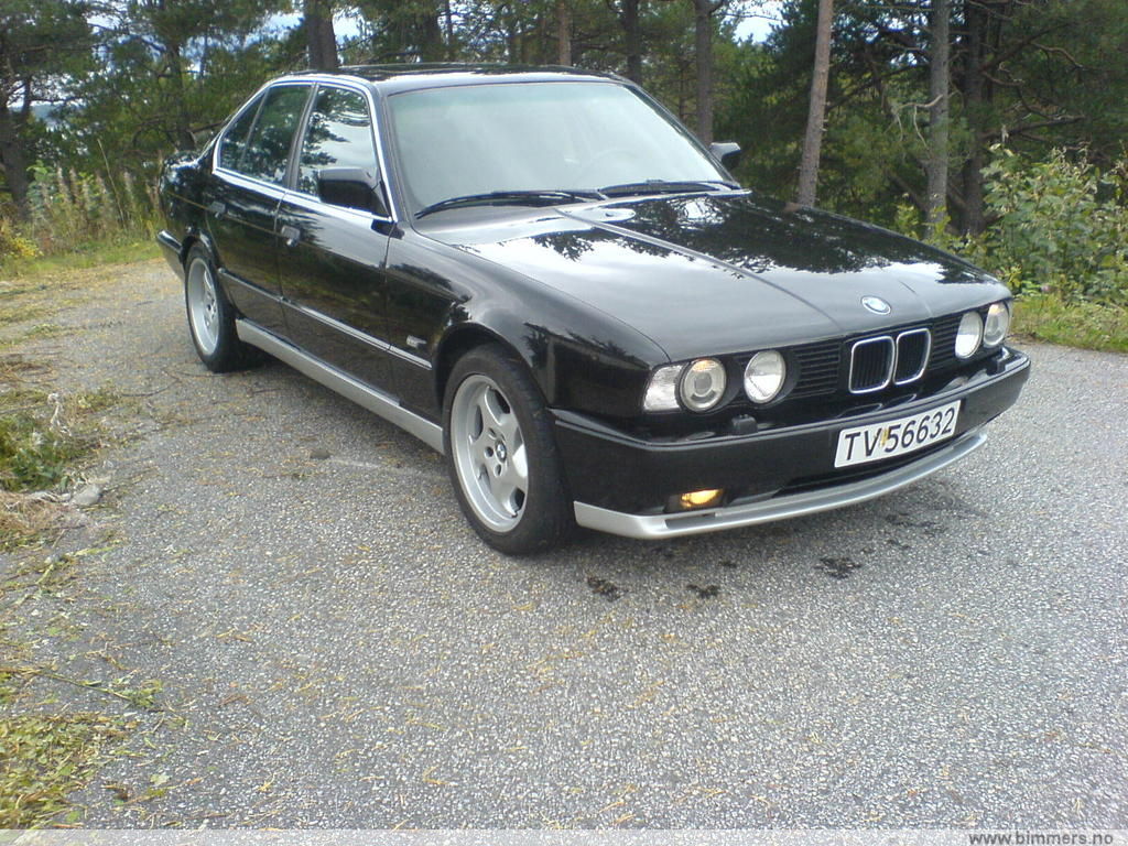 fzvuwbp2x6hx8l81mlz8.jpg
