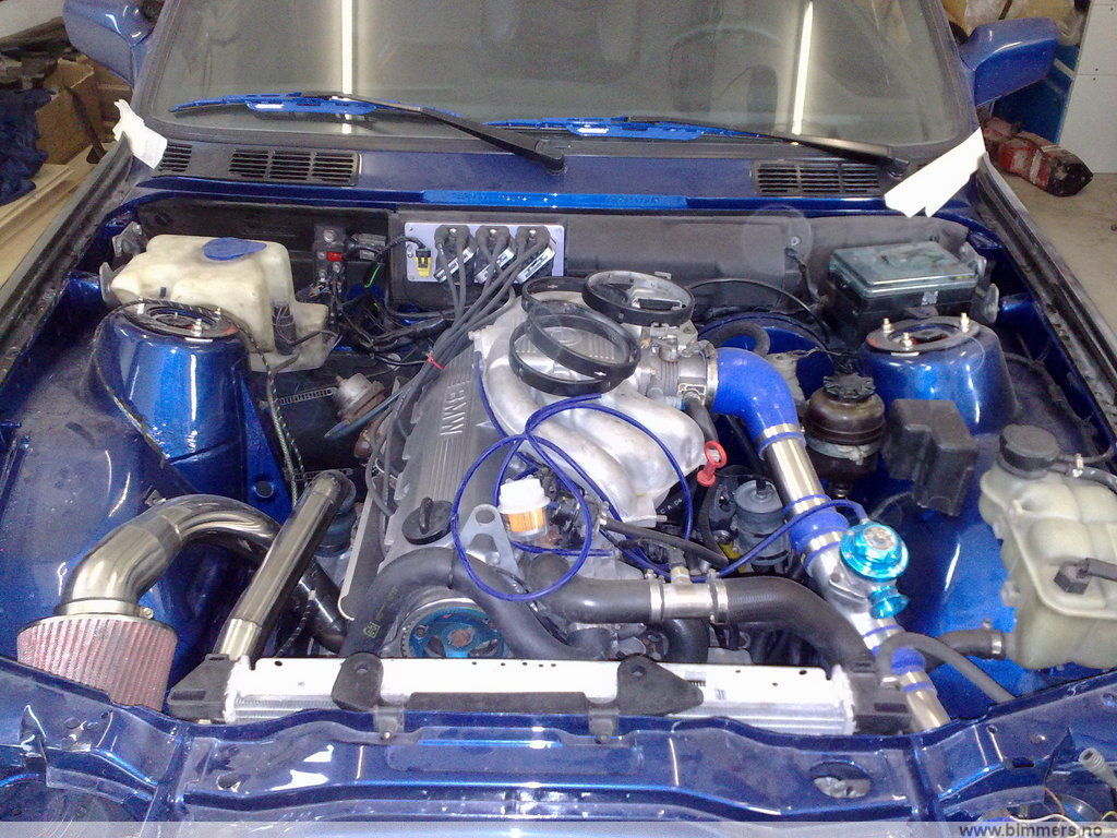 g2i28cb8wn758rfuteic.jpg