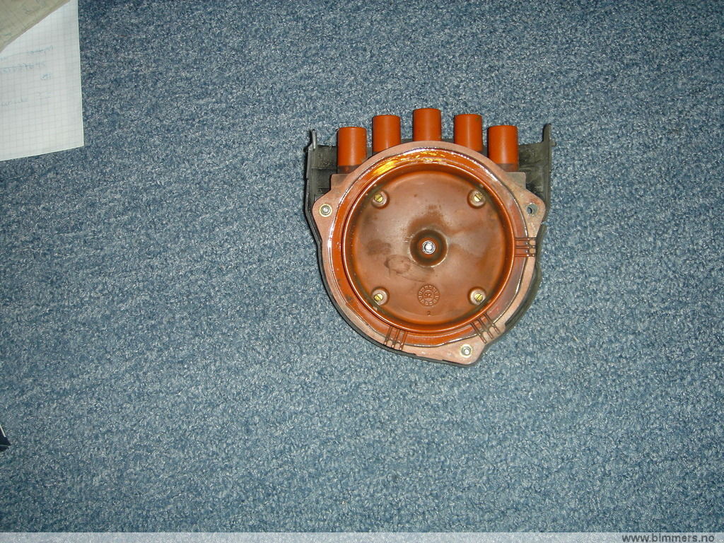 g474wemwj3suosioujcd.jpg