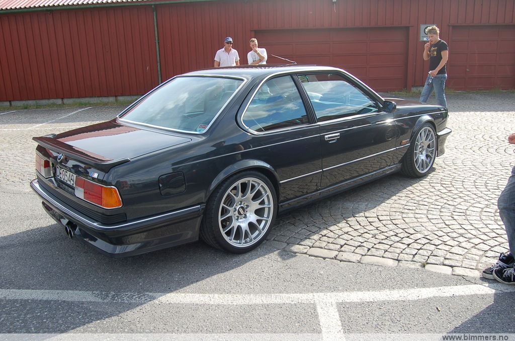 g6mjw6892a0h559lcyat.jpg