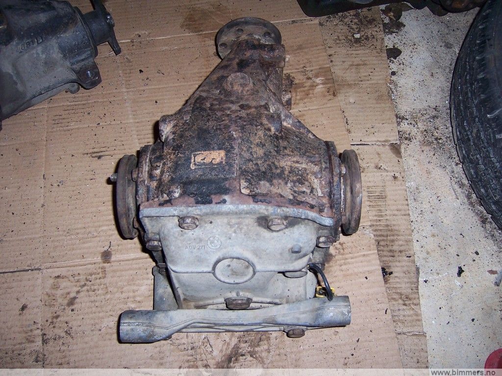 ge3ael5x7yjp2ler1gk5.jpg