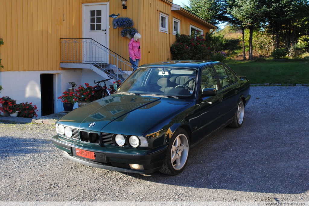gk6lwk6zrxbql118t5bf.jpg