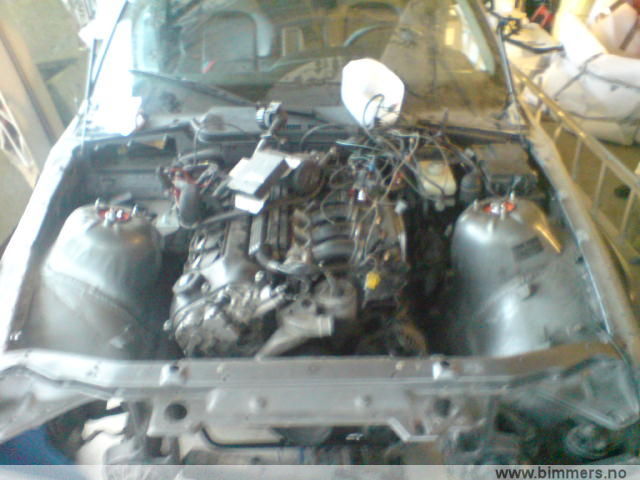 gmkvo681rw8ur579z8ph.jpg