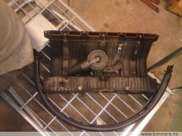 gt00ado6vxx32v9cr31m.jpg