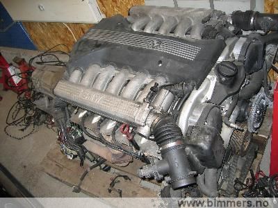 gwcrk1tg8qvq92s72cyb.jpg