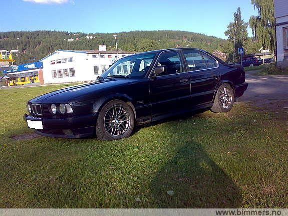gwgy8euexp8w1zcem3do.jpg