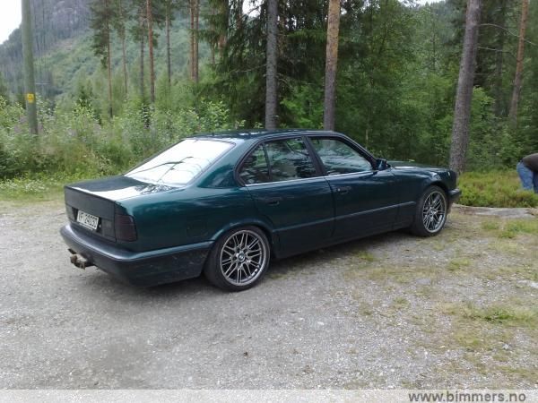 gwoil8b9647g06wgfams.jpg