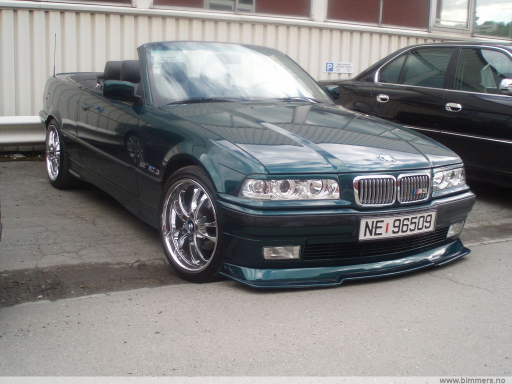 gxmk5tt8hja1zcm77pb8.jpg