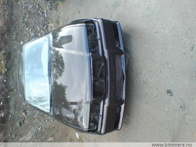 gzwdi1b763nnx1k5pqbx.jpg