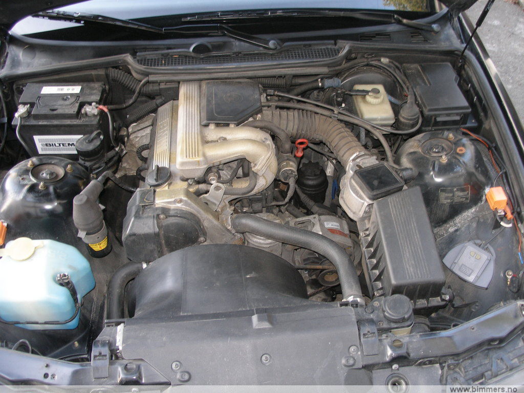 hnm95wb0hvo5v4wvc653.jpg