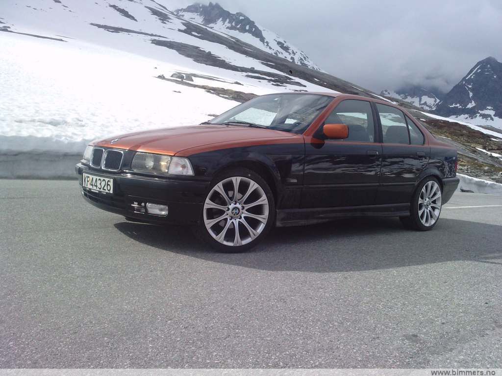 hs3mlezl81gtdrehq0zs.jpg
