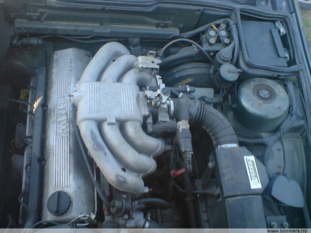 i3986ziy7t6lidp95hrd.jpg