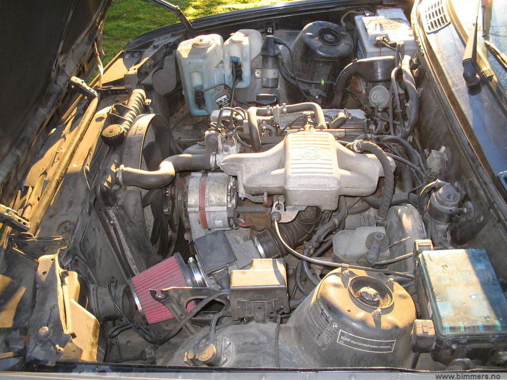i539wqfasmv11c6kt7hh.jpg