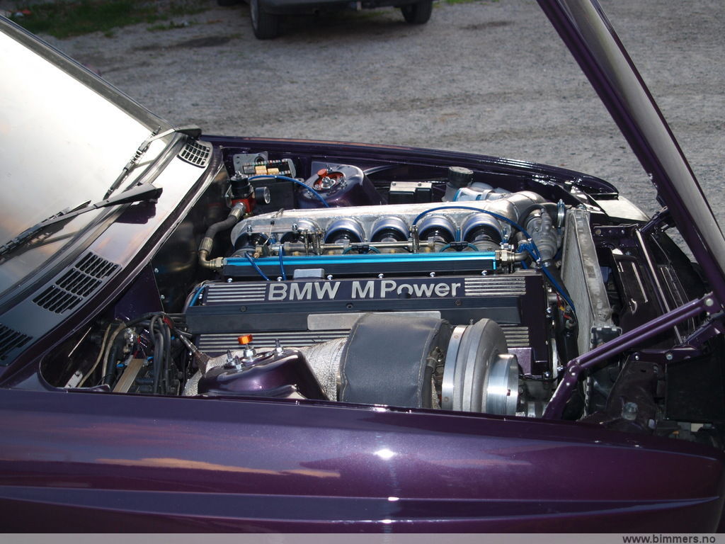 ibhb1wgrcy7a2xma80mi.jpg