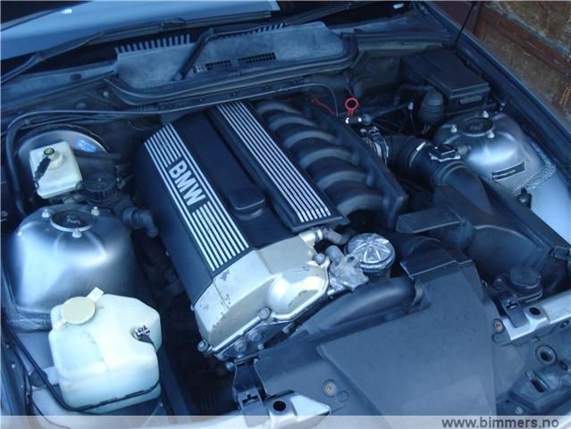 ige71enwin49ezaalb39.jpg