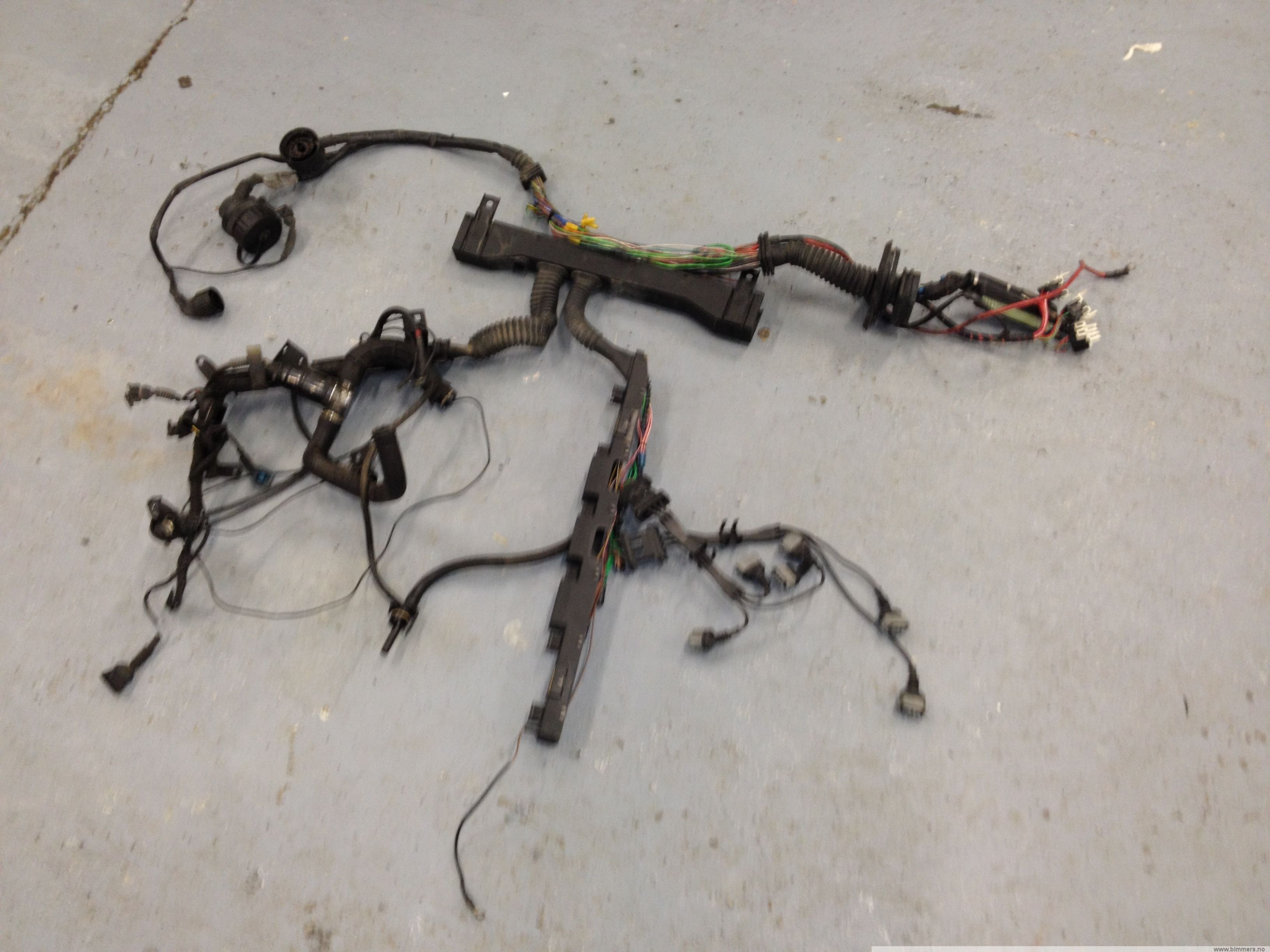ipj8g701a8rd52pq87q2.jpg