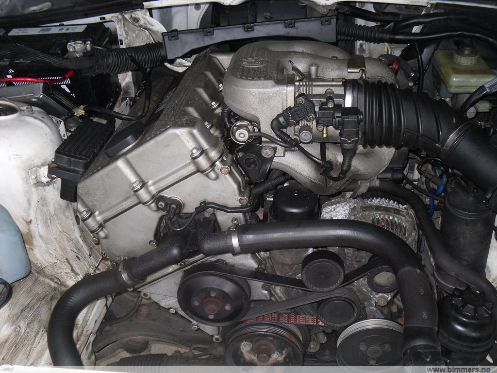 iw1108voc41mbgdvd796.jpg