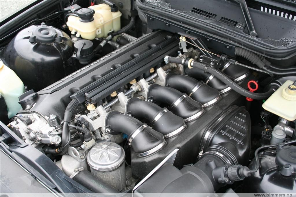 j40hxii456776wef33d5.jpg