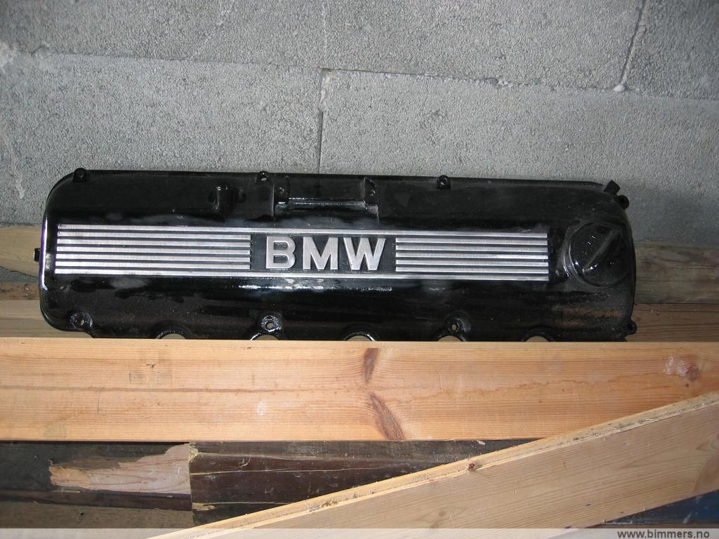 j9nx574yd56sr9tfgdog.jpg