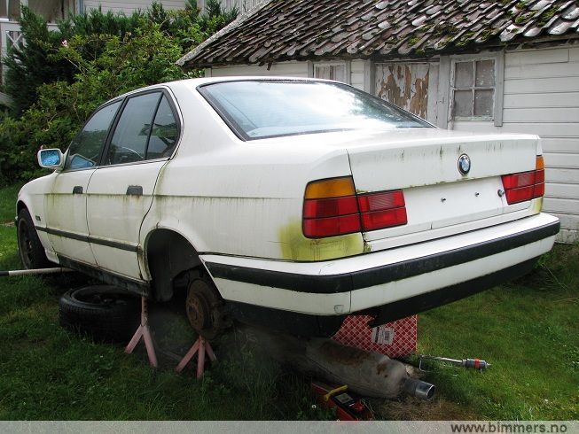 jbw23jxp593butmwg30i.jpg