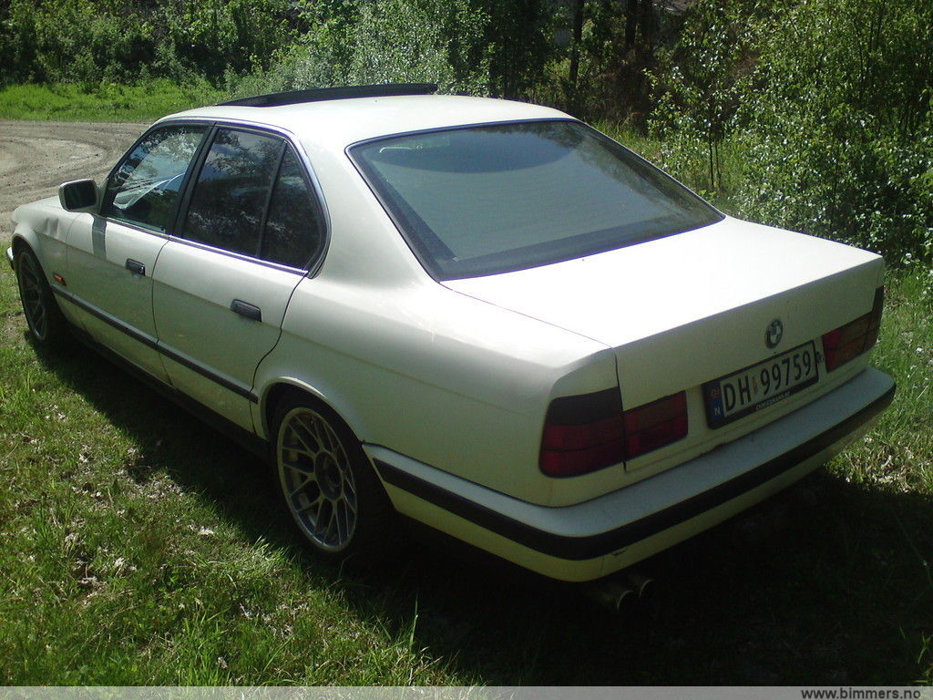 jp1jrbokb3wa4dd97wtl.jpg